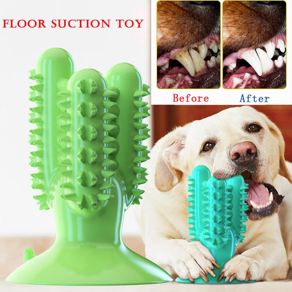 NEW Dog Toothbrush Toys for Dogs Interactive Toy Training IQ Teeth Cleaning Durable Small Medium Large Dog Puppy Chewing