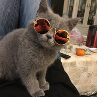 Awesome Cute Pet Sunglasses